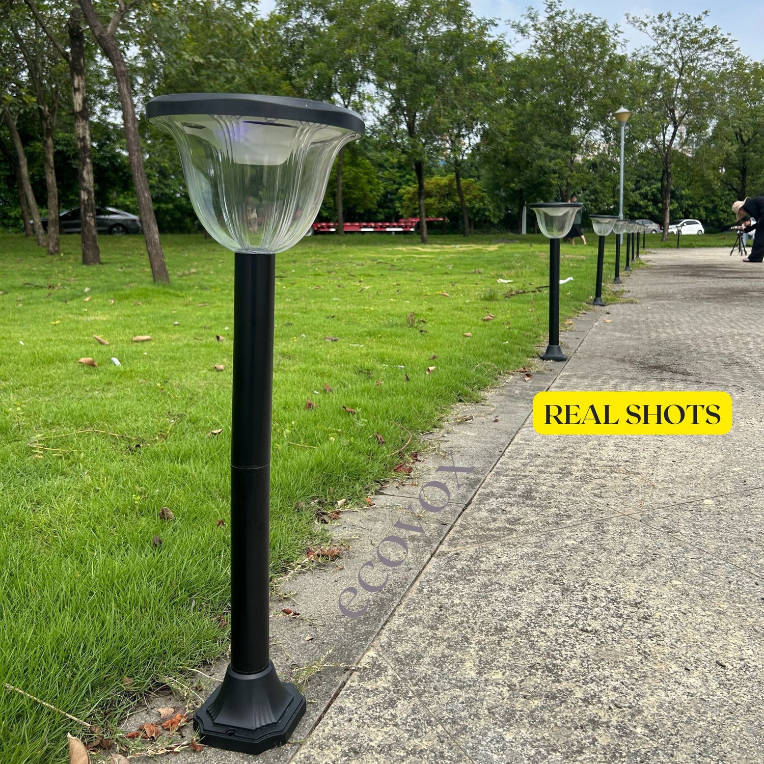 GARDEN LIGHTS
