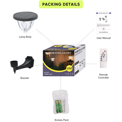 ECOVOX 200W LED Solar Daimond Lawn Light Wall Type