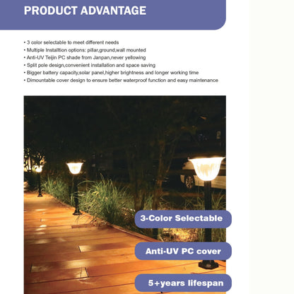 Ecovox 200 Watts LED Solar Diamond Lawn Light Ground Type