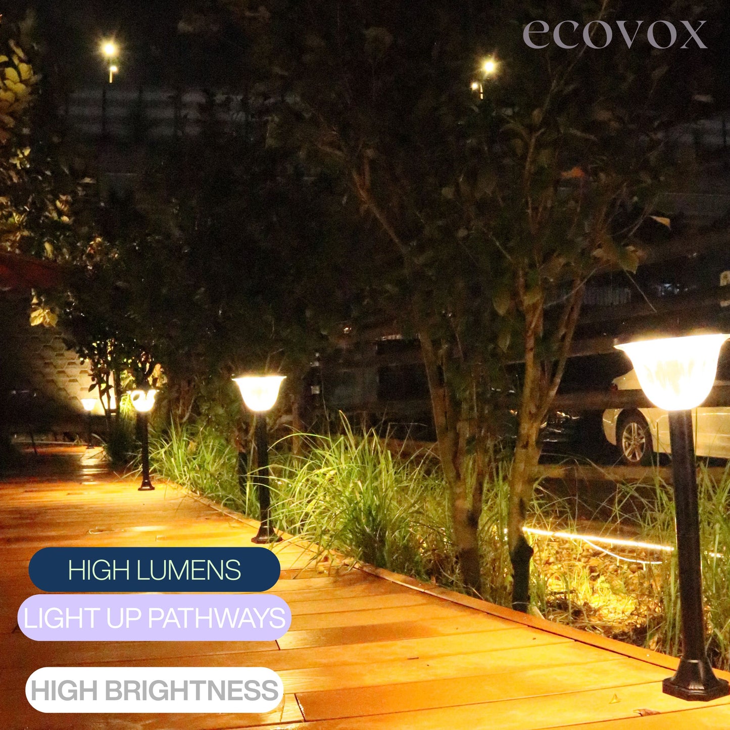 Ecovox 200 Watts LED Solar Diamond Lawn Light Ground Type