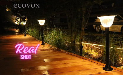 Ecovox 200 Watts LED Solar Diamond Lawn Light Ground Type